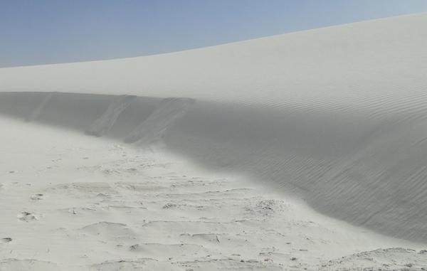Grainfall grain flow and reattachment ripples on a 1m tall dune in White Sands National Park